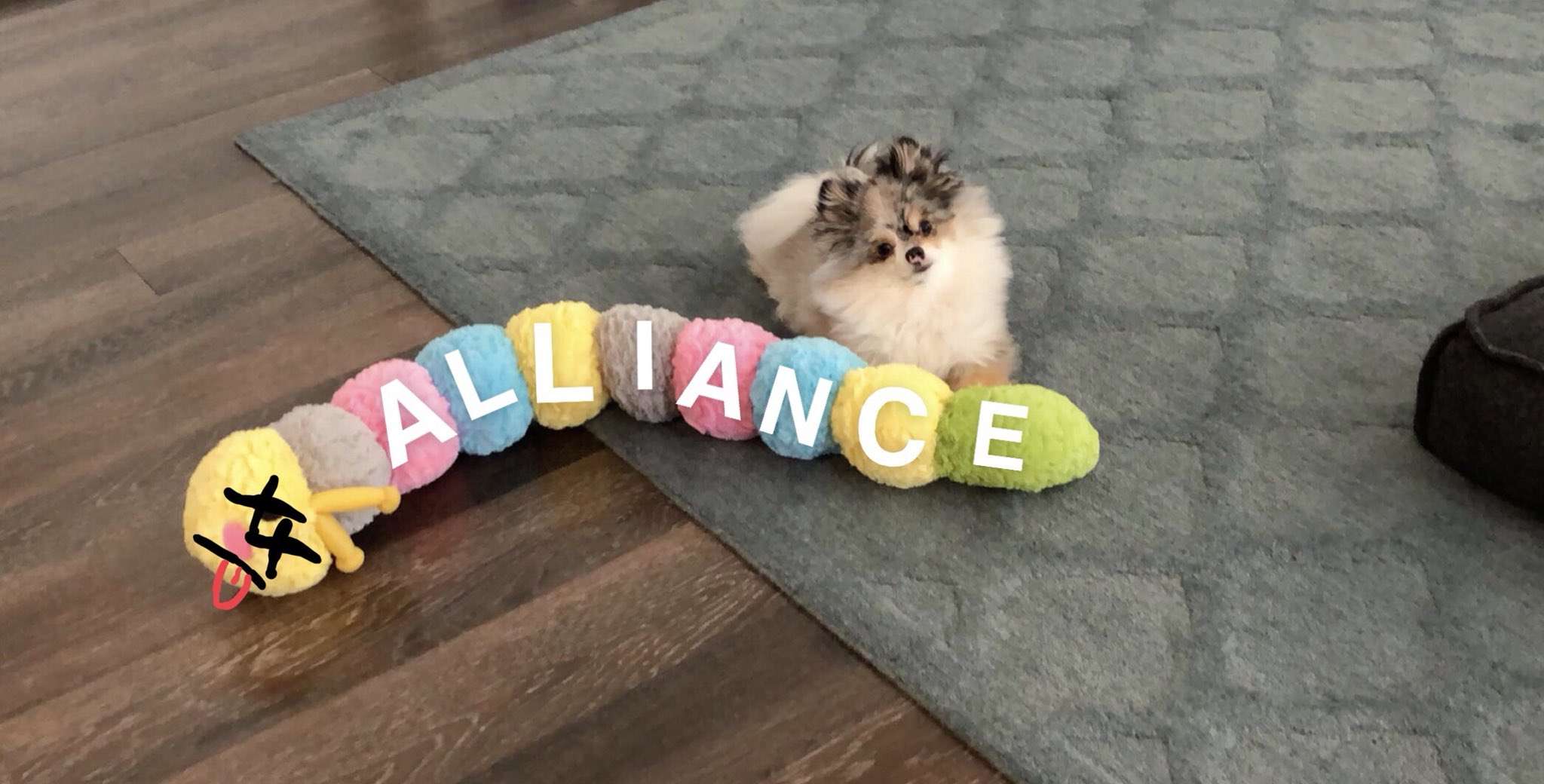world first — Ghost downs the alliance ⚔️🐺